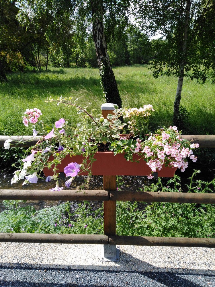 Chambre d'hôte Moulin du Locheur Fleurs dans la cour